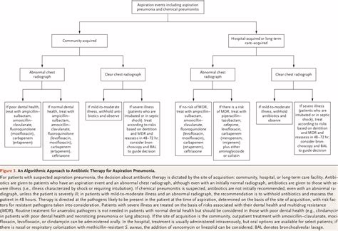 Mauricio Ambriz On Twitter Algoritmo Para La Terapia Antimicrobiana