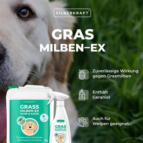 Silberkraft Grasmilben Ex Hund Katze Ml Shop Apotheke