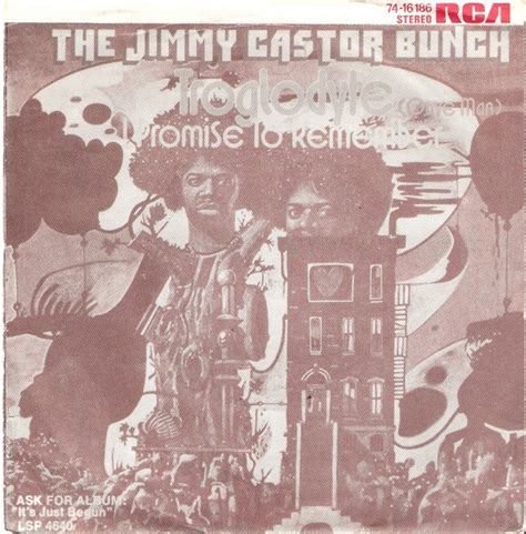 The Jimmy Castor Bunch Troglodyte Cave Man 1972 Vinyl Discogs