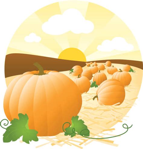 Pumpkin Patch Clip Art Vector Images And Illustrations Istock