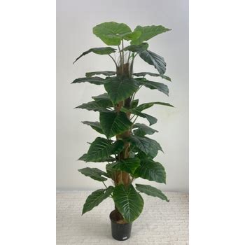 Philodendron Totem Pole Artificial Plant Importers