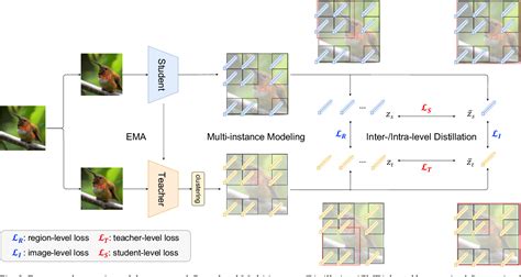 Figure From Cross Level Multi Instance Distillation For Self