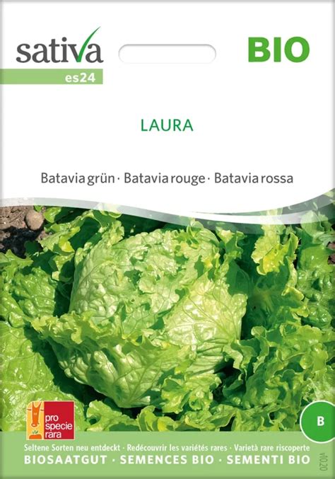 Laura Bataviasalat Bio Samen Saatgut Kaufen