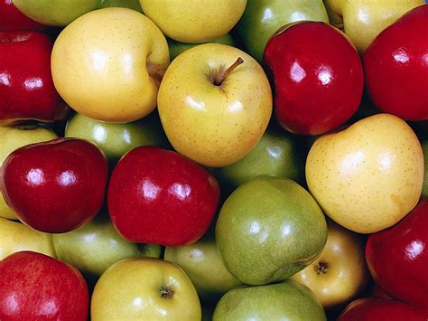 Bear Fruit Quiz | Britannica
