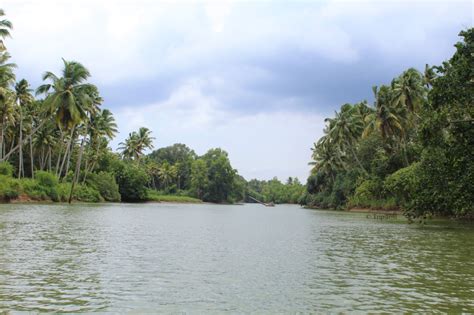 Poovar Island, Thiruvananthapuram - Tripवाणी