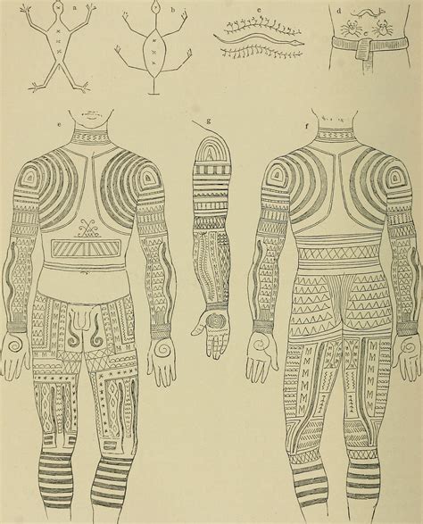 1896 illustration of Igorot tattoo patterns which are records of war ...