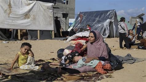 Persen Warga Gaza Alami Kelaparan Akut Terpaksa Makan Rumput