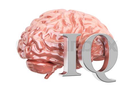 Human Brain And Iq Text 3d Rendering Stock Image Colourbox