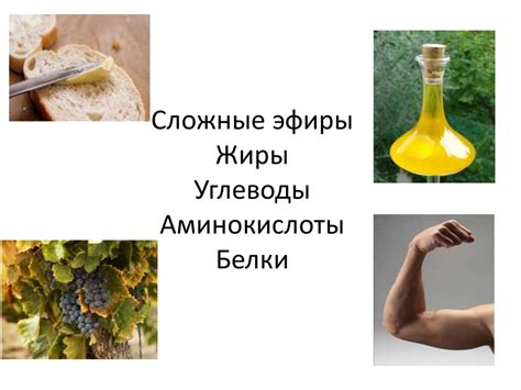 Сложные эфиры. Жиры. Углеводы. Аминокислоты. Белки - презентация онлайн