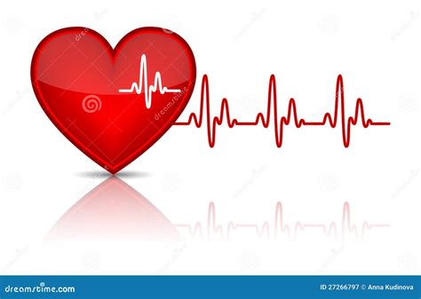 Corazón Con El Latido Del Corazón Electrocardiograma Ilustración Del Vector Ilustración De