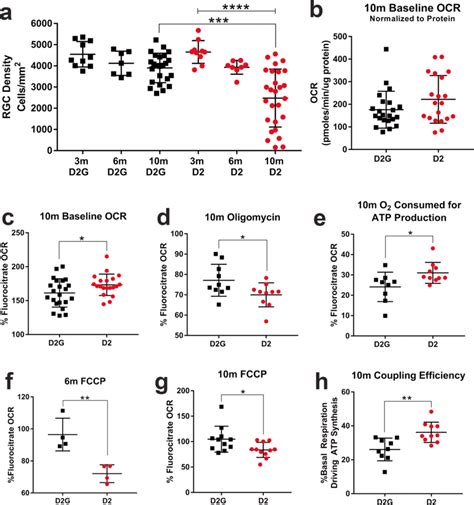 Rgc Density And Mitochondrial Respiration For Mice Used In The