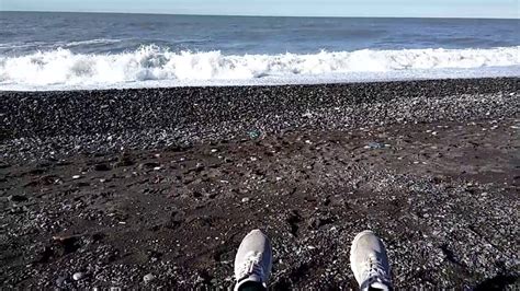 Быть птицей (отрывок, демо-версия) - YouTube Music