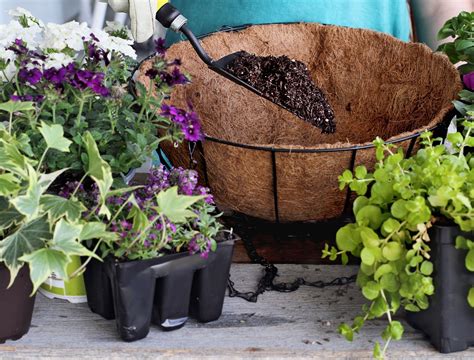 Hanging Baskets Are a Fun Winter DIY Project to Try