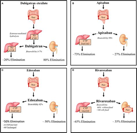 Frontiers Pharmacokinetic Interactions Of Clinical Interest Between