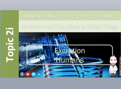 Igcse Biology 2i Excretion Humans