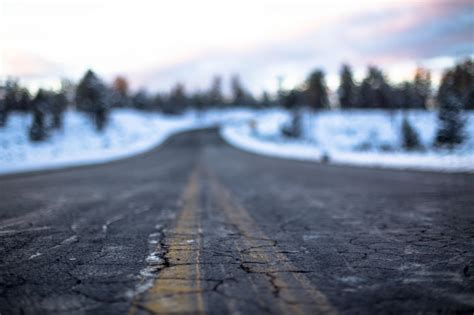 Bildet tre natur snø kald vinter vei sollys morgen perspektiv