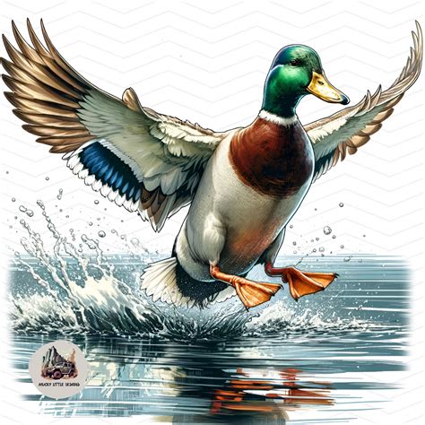 Mallard Duck Sublimation Duck Hunt Png Duck Landing On Lake Hunting