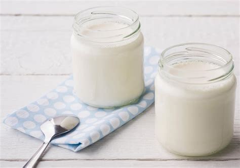 YOGUT Starterkulturen Joghurt Und Kefir Einfach Selber Machen