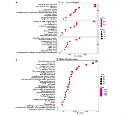 Functional Enrichment Analysis Of All The Genes In The Turquoise Download Scientific Diagram