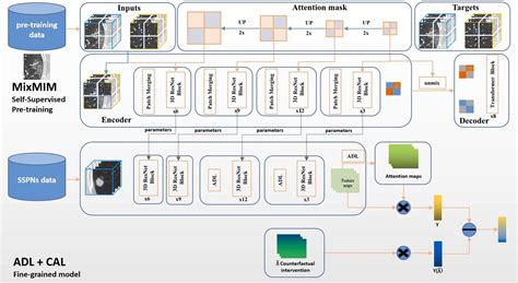 A Self Supervised Learning Based Fine Grained Classification Model For