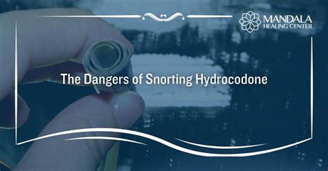 Dangers Of Snorting Hydrocodone Mandala Healing Center