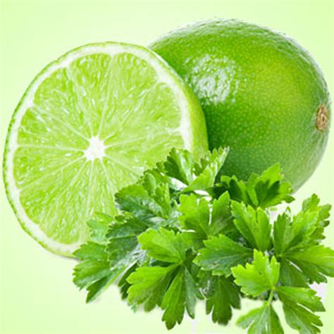 Lime Cilantro Fragrance Oil Natures Garden Candles