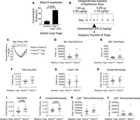 Jci Insight Transcriptional Analysis Of Foxp Tregs And Functions Of