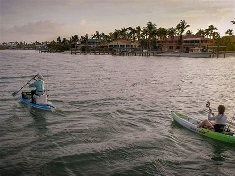 Florida Keys National Marine Sanctuary Atualizado 2022 O Que Saber