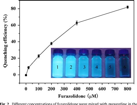 Table 1 From Pyoverdine Secreted By Pseudomonas Aeruginosa As A