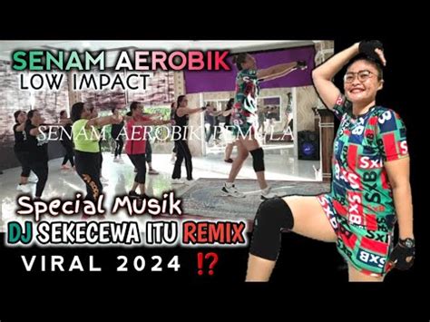 Senam Aerobik Low Impact Special Musik Dj Sekecewa Itu Remix Viral 2024