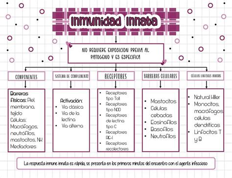 Mapa Conceptual Inmunidad Innata Cecilia Hernandez Udocz