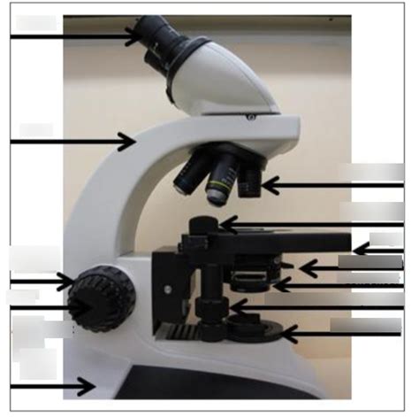 Bio 2 Lab Quiz 1 Orientation Taxonomy Microscopy Diagram Quizlet