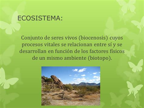 02 Antecedentes De La Ecología