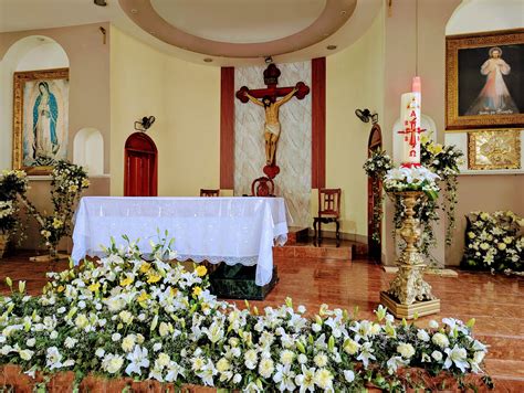 Parroquia De San Pedro Mártir Dominicos 8