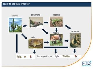 Cadeia Alimentar Jogo - AULA-BIOLOGIA-JOGO-DA-CADEIA-ALIMENTAR.pdf