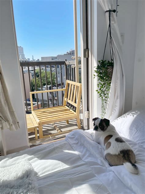 3830 best Mattress images on Pholder | Aww, Courage The Cowardly Dog