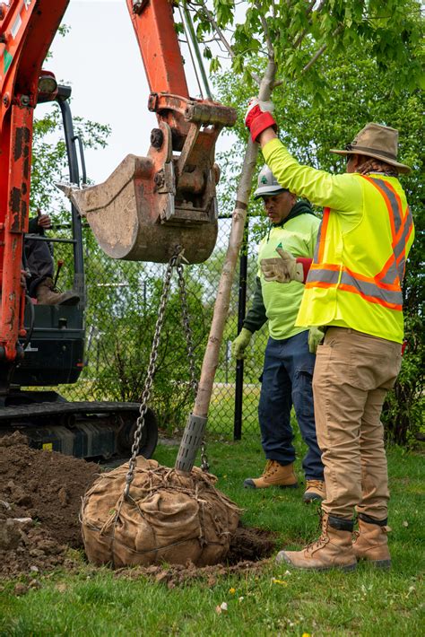 Salary Expectations for Elementary Teachers in Mississauga 11