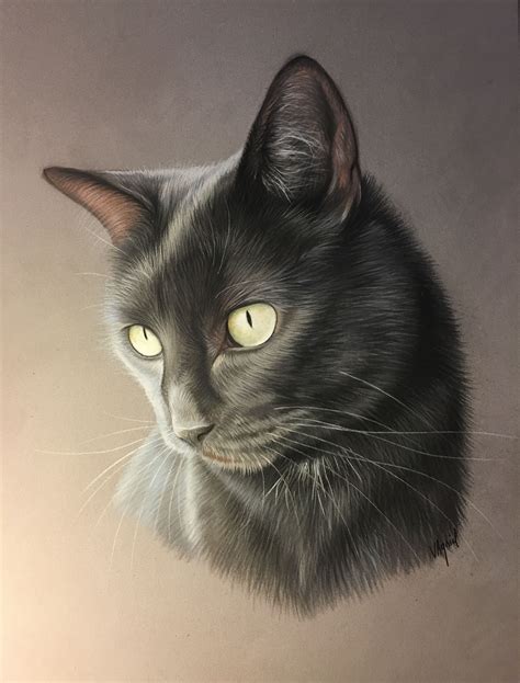 How To Draw A Black Cat Realistic