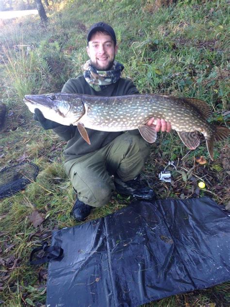 Fishingmegastore Fish Of The Month Entry November 2016 Loch Ken Pike