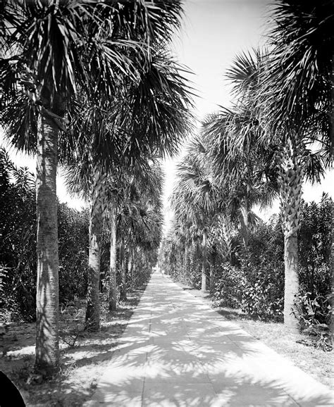 Remembering the Life and Legacy of Thomas William Jackson Sr 41