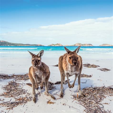 Family-friendly holidays on Kangaroo Island | Out & About with Kids