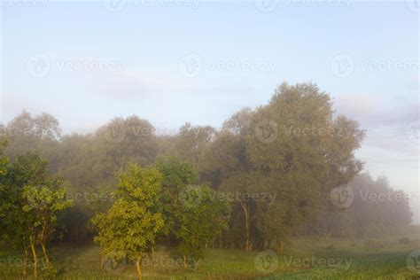 Fog mist landscape 9512163 Stock Photo at Vecteezy