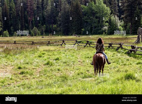 person riding horse  scenic countryside surrounded  lush greenery