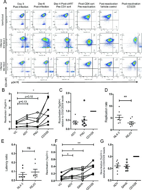 β Catenin Pathway Inhibition Reactivates Two Hiv Strains In A Primary T