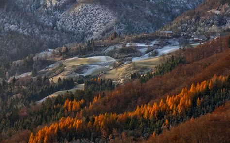 Fondos De Pantalla Árboles Paisaje Bosque Otoño Montañas Lago