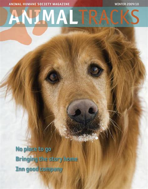 Why Hutchinson Humane Society is the best place to find a pet 12