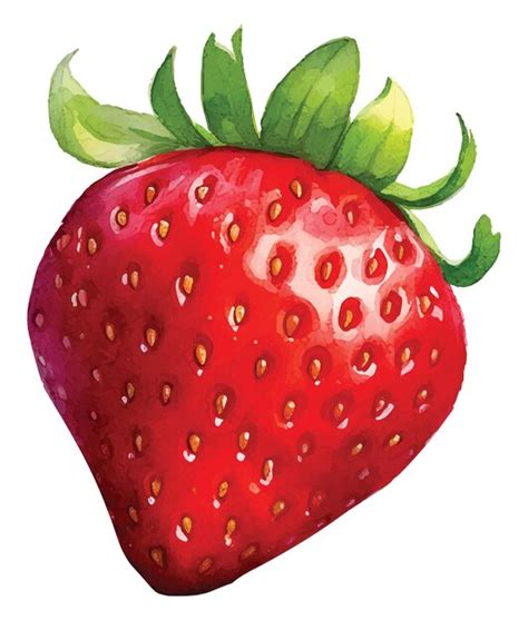 Premium Vector Watercolor Strawberry Vector Watercolor Vector Strawberry