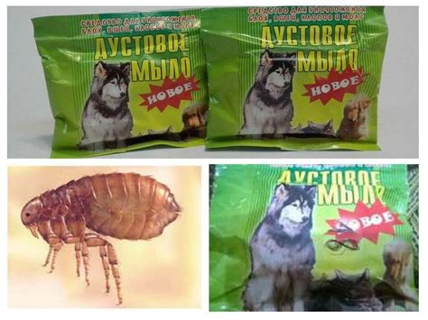 Хозяйственное мыло от блох у кошки