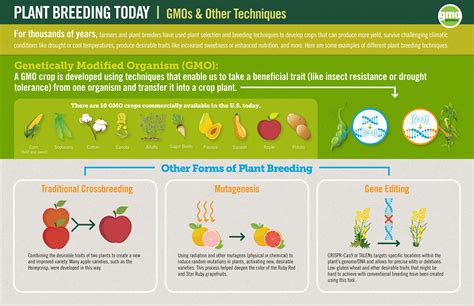 The Science Behind Gmos History Of Gmos Gmo Answers