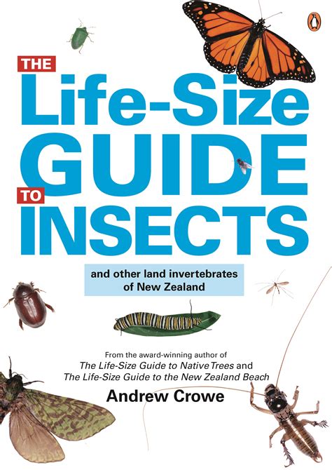 The Life-Size Guide to Insects by Andrew Crowe - Penguin Books New Zealand